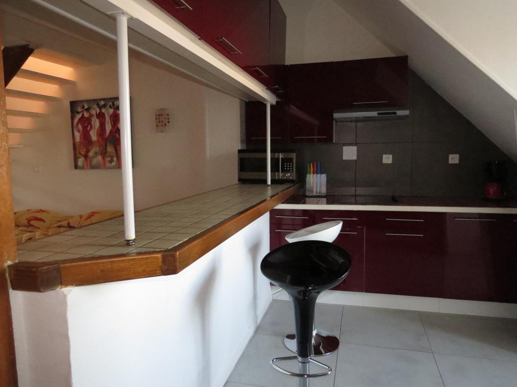 Francois 1er - 16eme Apartment